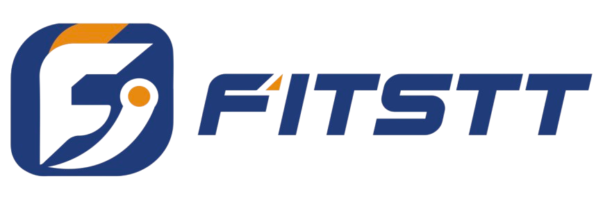 fitstt logo transparent